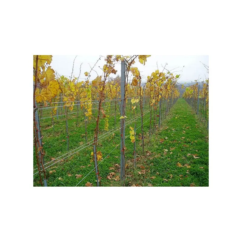 Redni stup za vinograd-v 2200 mm - Mihovljan, Čakovec
