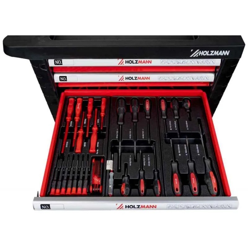 ormari za alate sa alatom w770w holzmann maschinen - slika 5