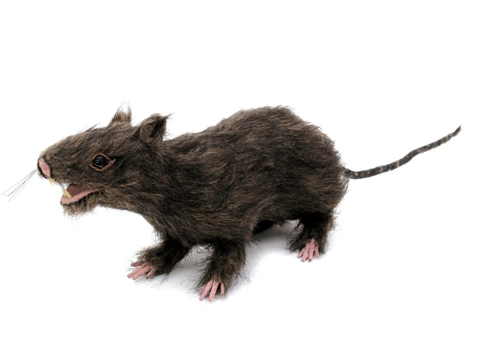EUROPALMS Rat, lifelike with coat - Križevci