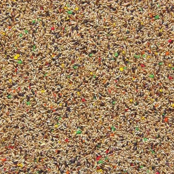 hrana za kanarince sa biskvitom 1kg - slika 2