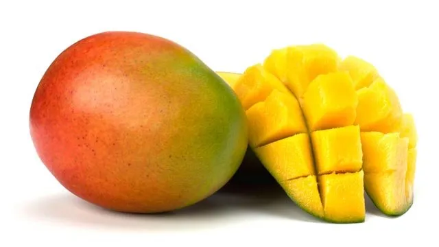 MANGO tri sorte - Donja Bistra, Bistra