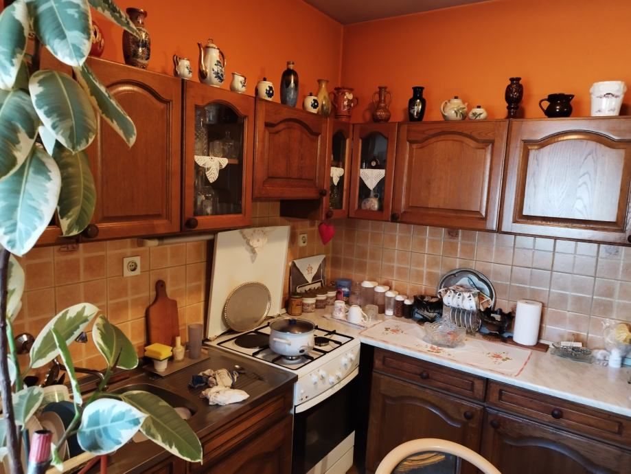 kuća: briješće, 159.00 m2 + 250 m2 - slika 13