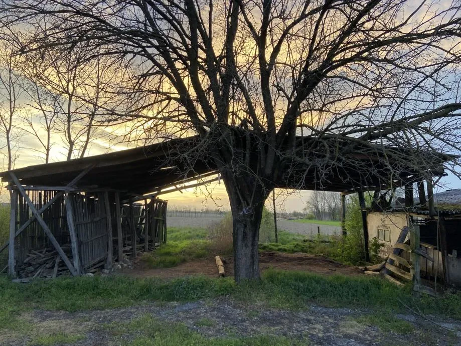 građevinsko zemljište: vuka, osijek, 859 m2 - slika 2