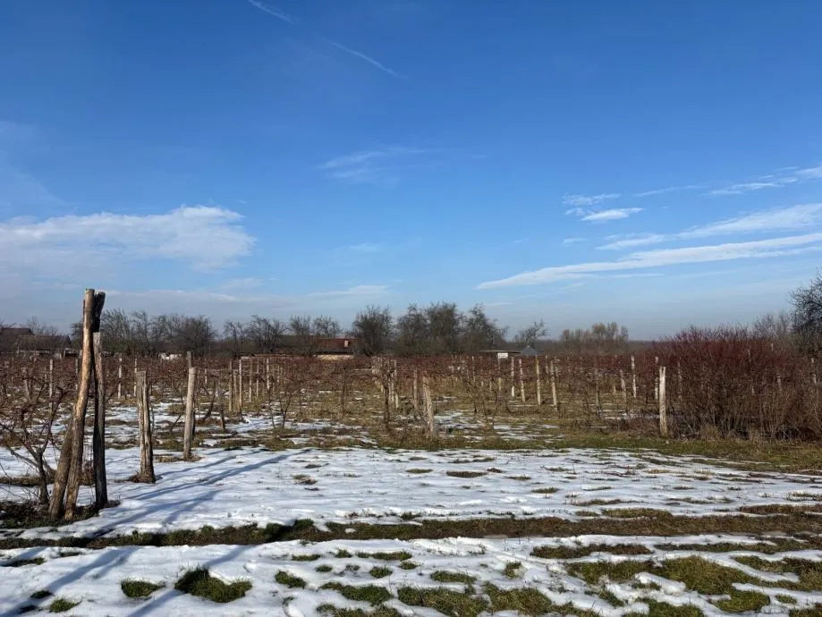 građevinsko zemljište, josipovac, 6000 m2 - slika 3