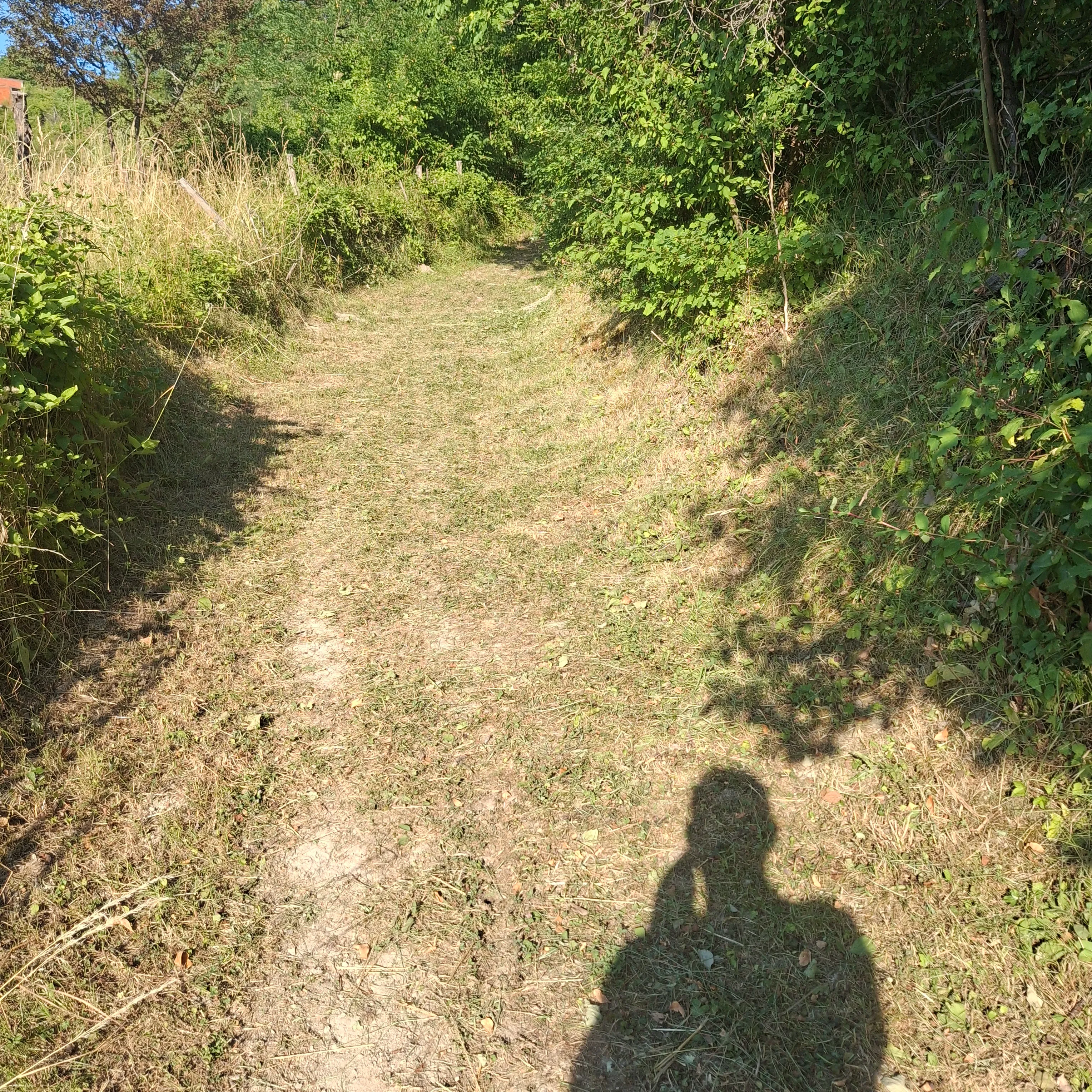 poljoprivredno zemljište - slika 8