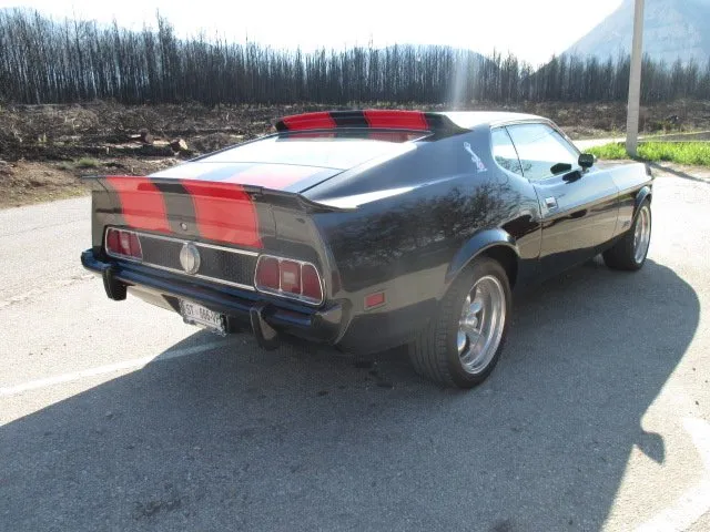 mustang mach 1,429cj - slika 5