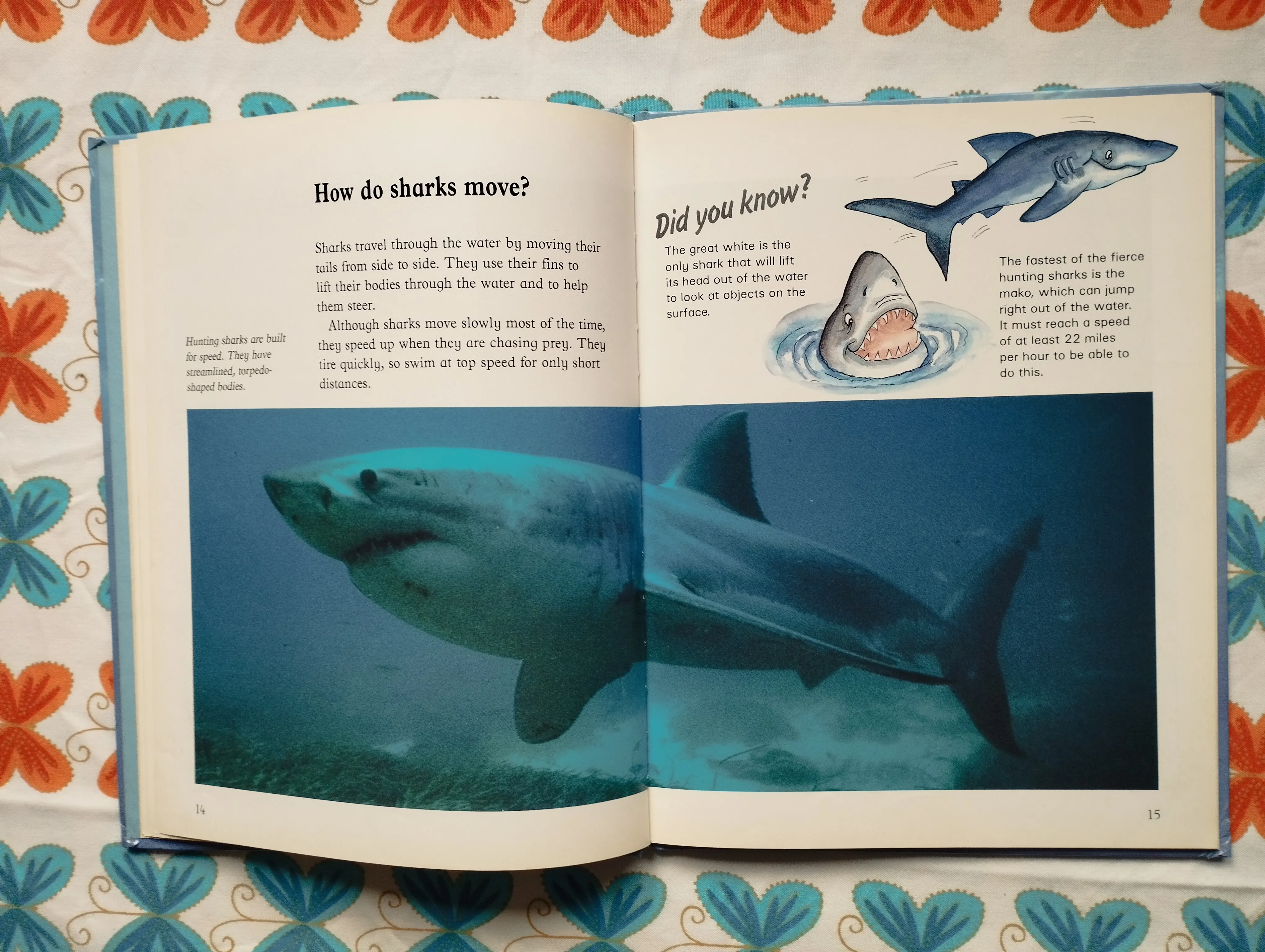jenny wood - animal world - sharks - slika 5