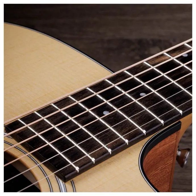 taylor 110ce-s special edition - slika 6