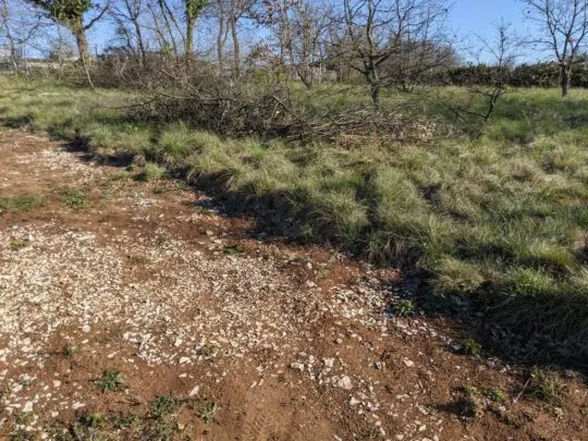 istra, labin, prekrasno građevinsko zemljište - slika 3
