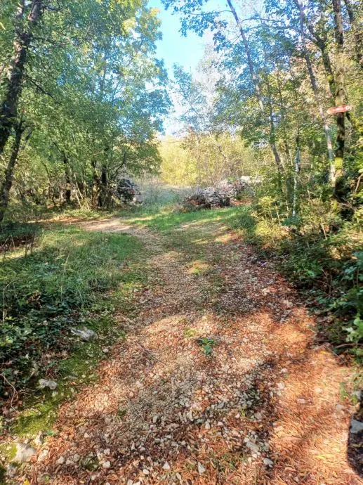 labin, ripenda kras- 4 km od rapca, 43000 m2 poljoprivredno zemljište - slika 5