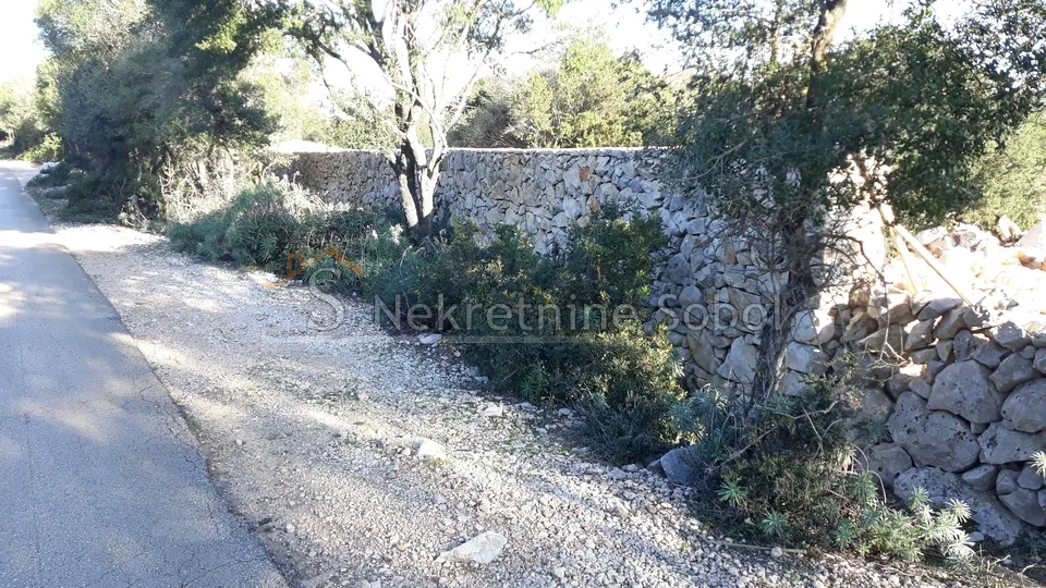 otok cres, punta križa - poljoprivredno, 14603 m2 prodaja - slika 2