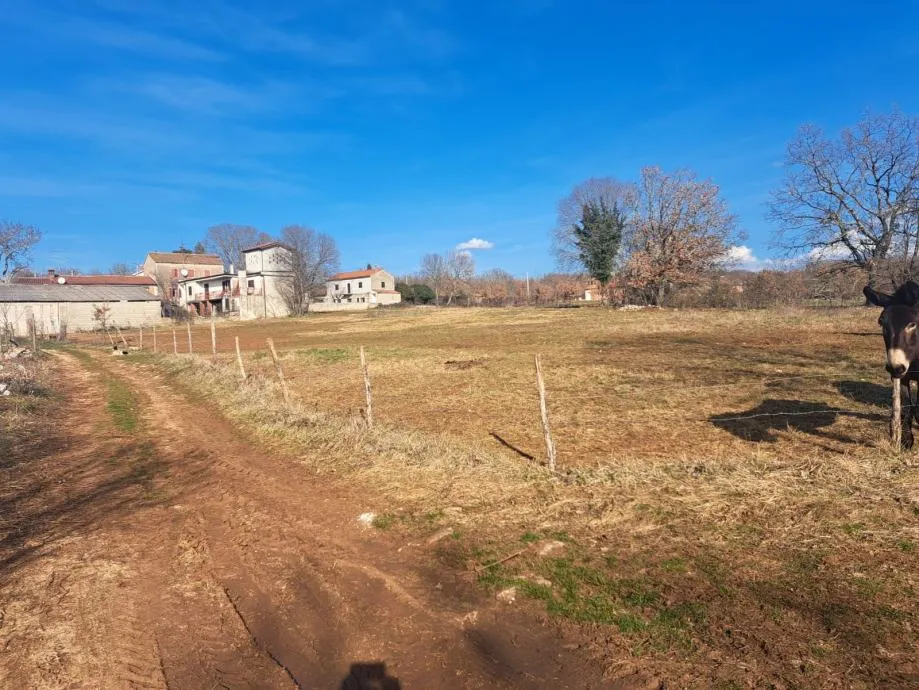 višnjan - građevinsko zemljište na rubu mjesta - slika 2