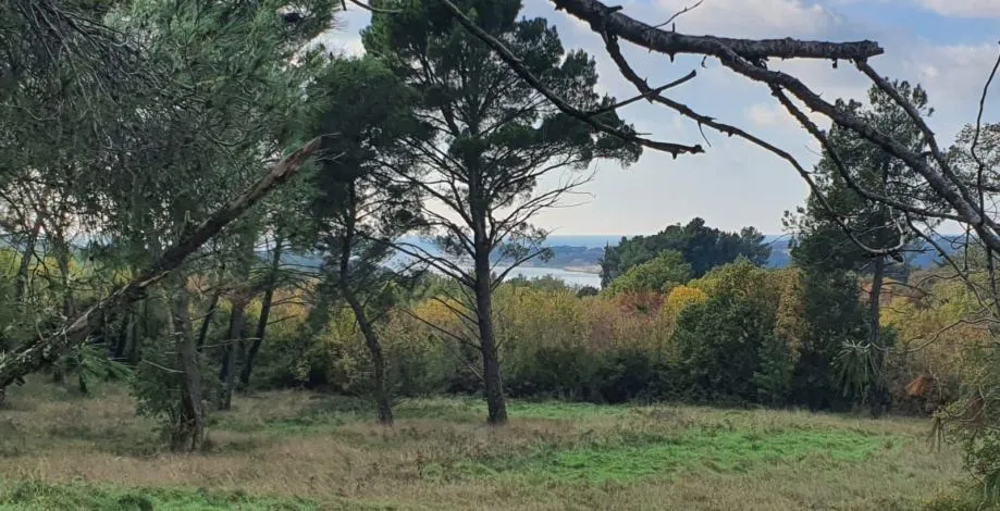 Poreč Okolica-33.000 M2 Zemljišta Sa Projektom Za Vilu Od 255 M2