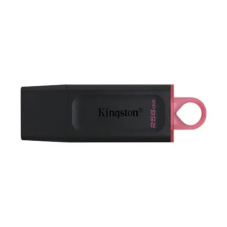 kingston 256 gb 3.2 gen 1 usb flash drive, datatraveler exodia - slika 1