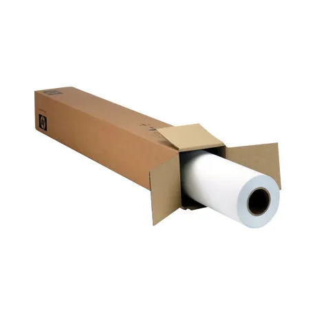 HP 2-pack Everyday Matte Polypropylene - Umag