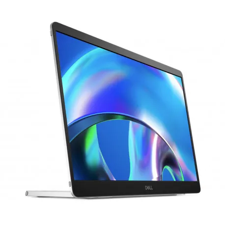 Dell Flat Portable Panel P1425 with USB-C - Umag
