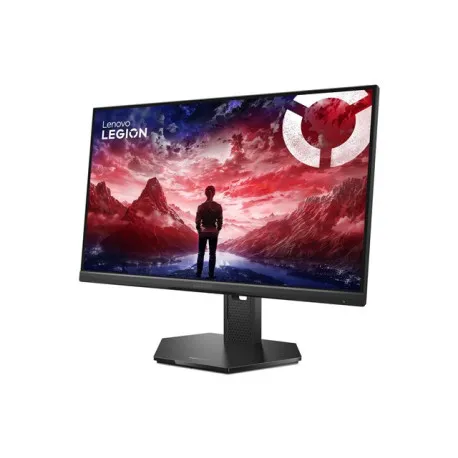 LENOVO Legion 25-10 24.5i IPS FHD 16:9 - Umag