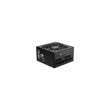 MSI MPG A1000GS PCIE5 Power Supply 1000W, 80 PLUS Gold, Dual PCIe 5.1 Cables, ATX 3.1, 135mm Fan, Fa - Umag