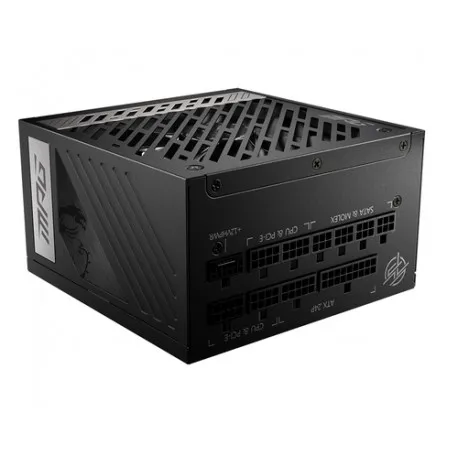 Msi Mpg A1000g Pcie5 1000 W 80+ Gold - Umag