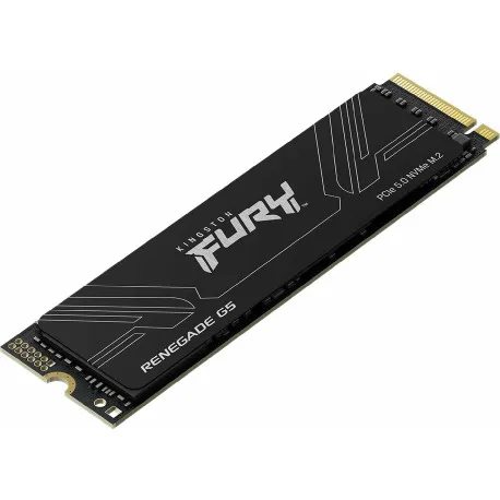 kingston 1024gb fury renegade g5 - slika 1