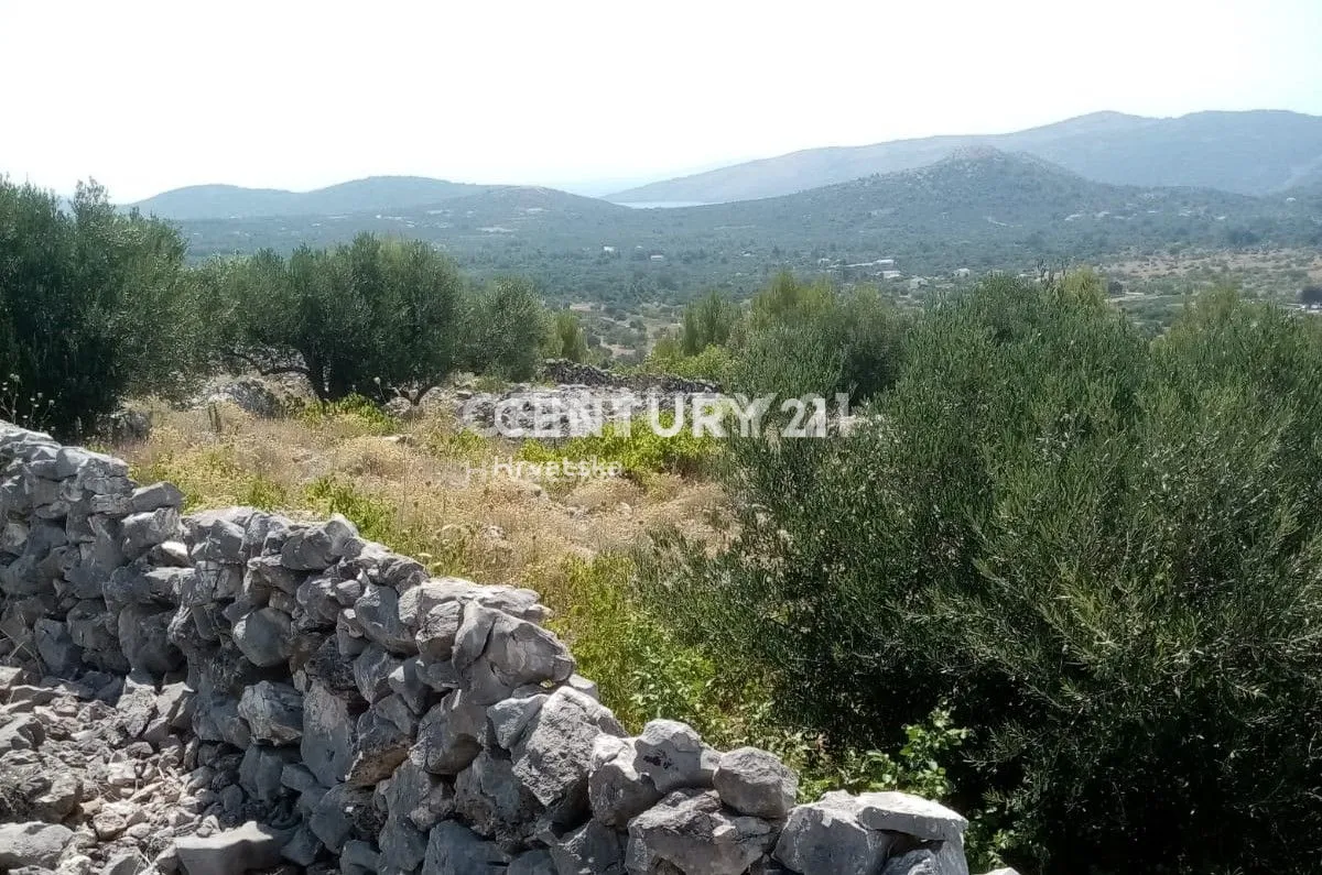 prodaja, zemljište, poljoprivredna površina, splitsko-dalmatinska županija, marina, gustirna - slika 2