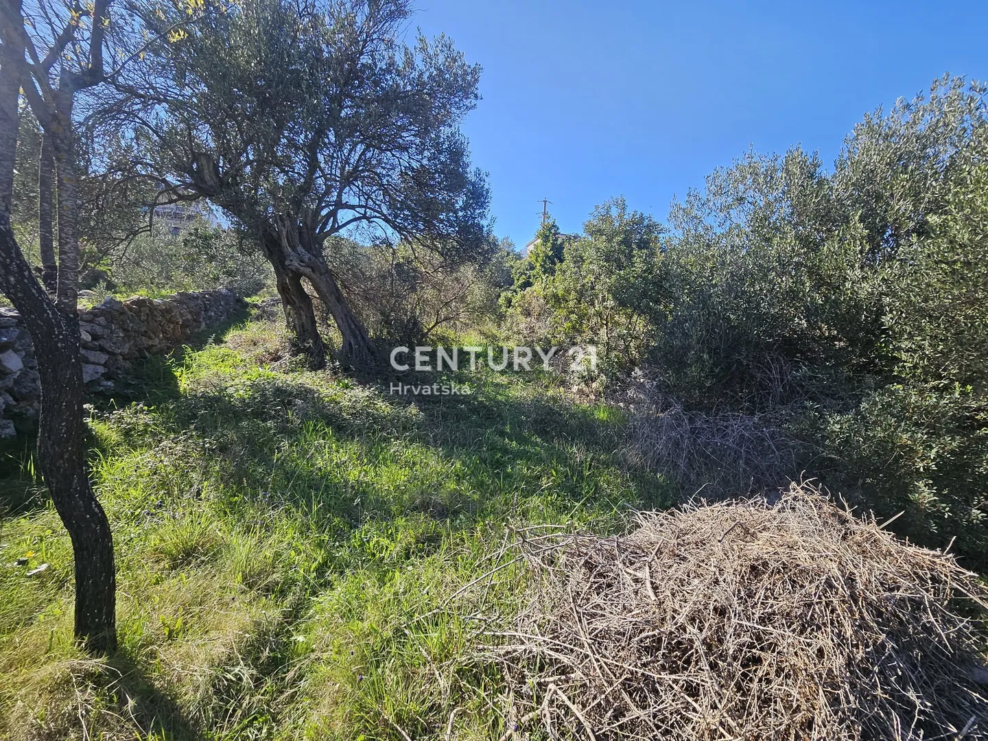građevinsko zemljište blizu mora (170 m) vinišće - slika 3