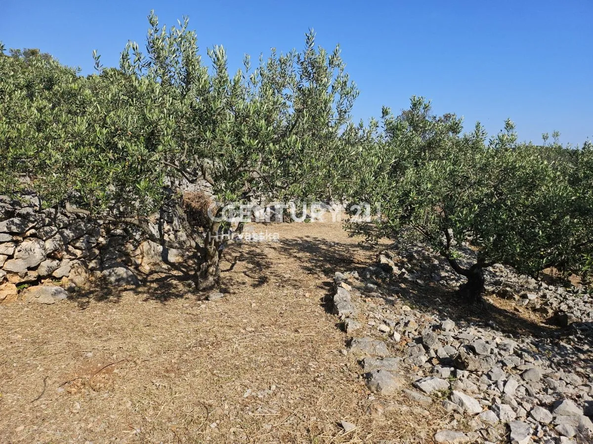 građevinsko zemljište s prekrasnim panoramskim pogledom na more - slika 6