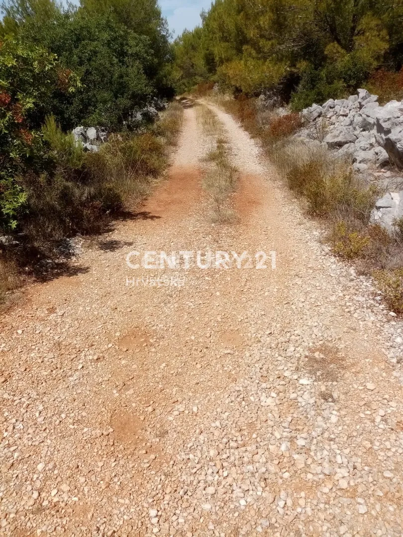 prodaja, zemljište, poljoprivredna površina, splitsko-dalmatinska županija, marina, gustirna - slika 3