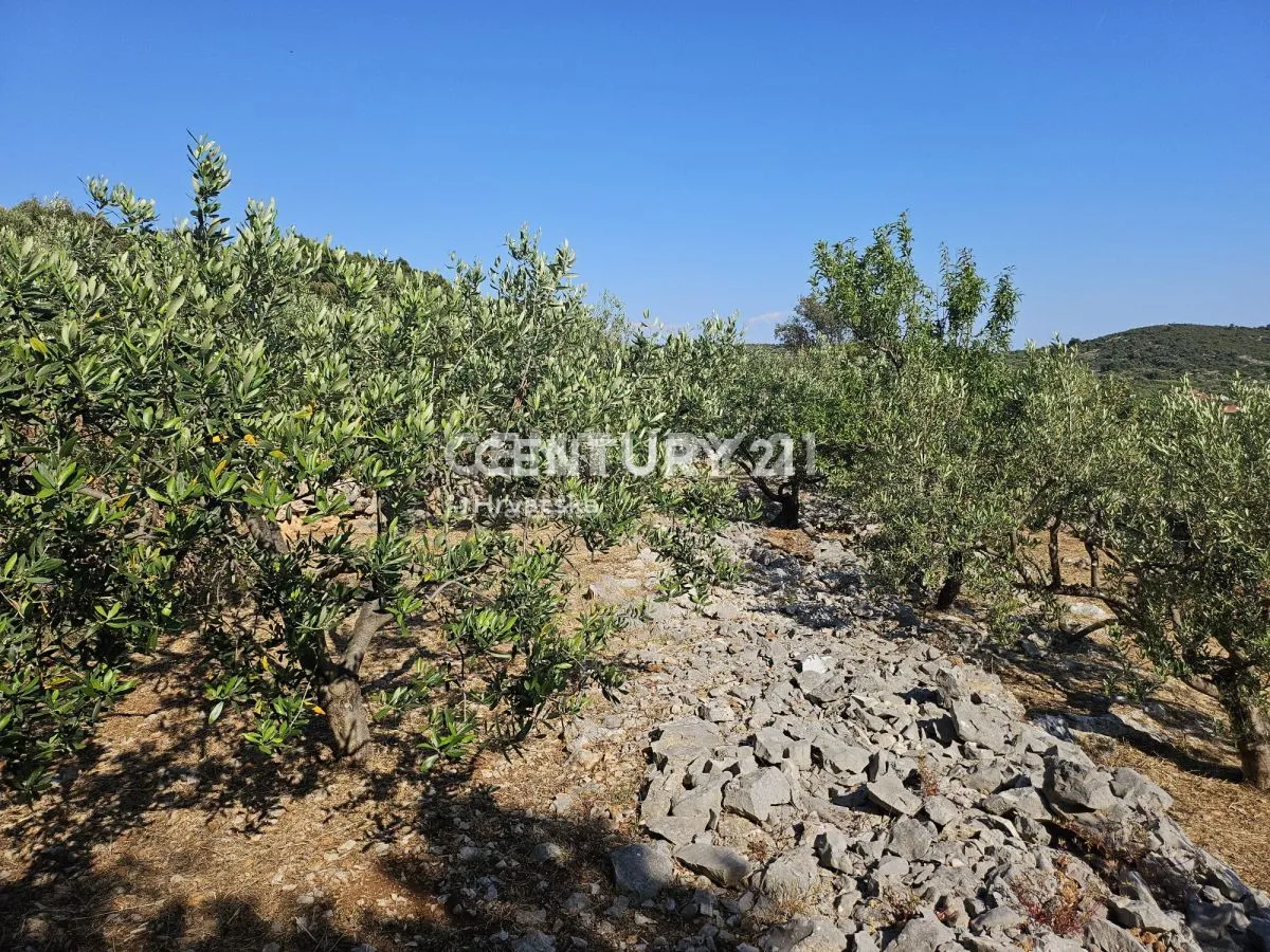građevinsko zemljište s prekrasnim panoramskim pogledom na more - slika 9