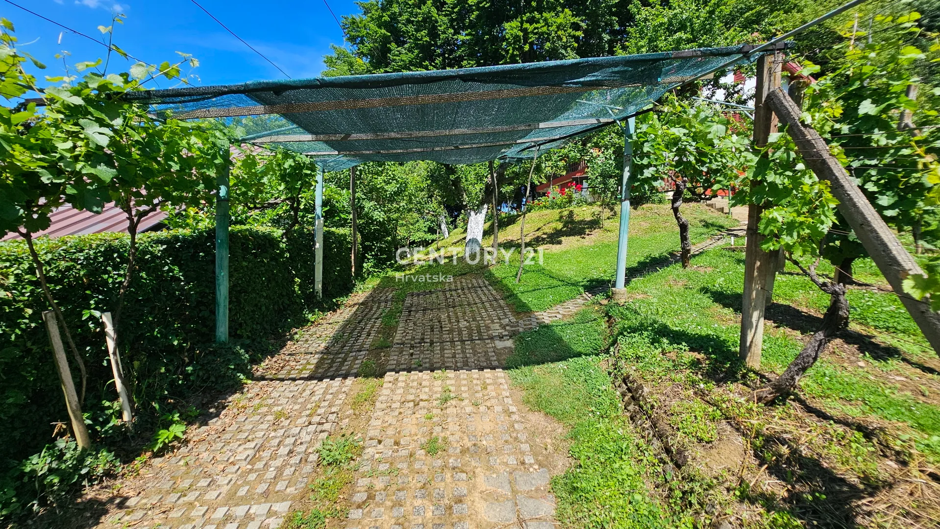 halić | kuća za odmor 126 m² + vinograd + terasa | okućnica 1.342 m² | zelena oaza | potpuno opremljeno | 65.000 € - slika 4