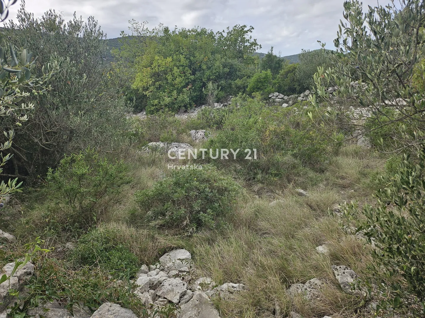 poljoprivredno zemljište 1000 m² – marina, blizina centra - slika 8