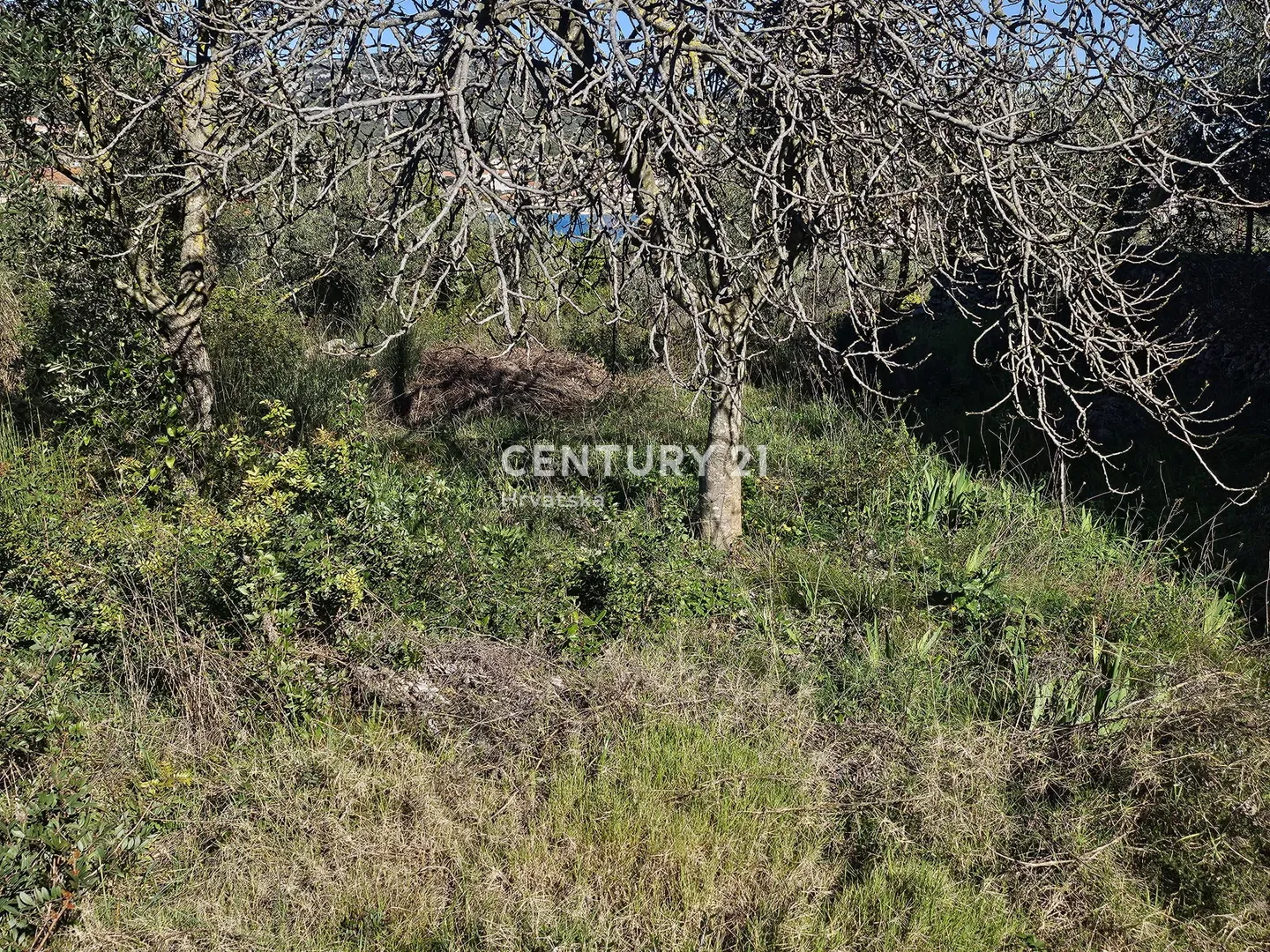građevinsko zemljište blizu mora (170 m) vinišće - slika 6
