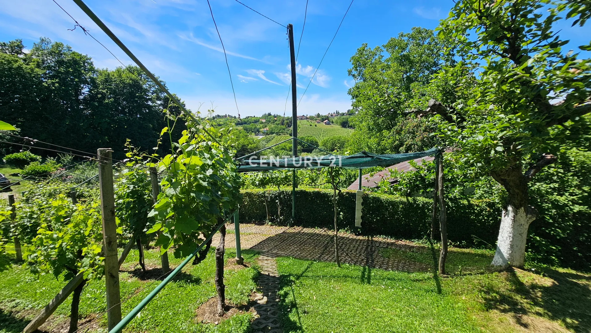 halić | kuća za odmor 126 m² + vinograd + terasa | okućnica 1.342 m² | zelena oaza | potpuno opremljeno | 65.000 € - slika 6