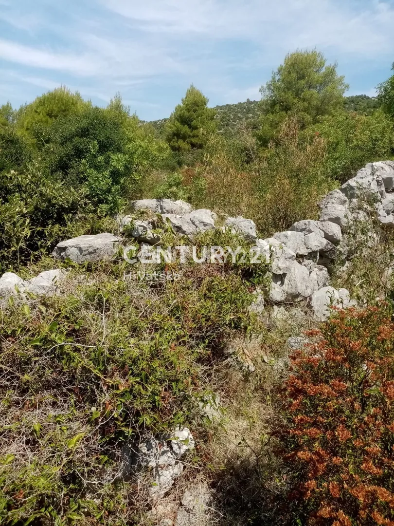 prodaja, zemljište, poljoprivredna površina, splitsko-dalmatinska županija, marina, gustirna - slika 5