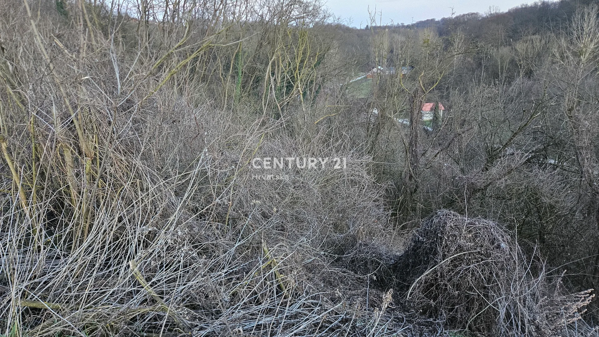 zemljište u vinogradima ludbreškim, 22.839 m2 do asfalta - slika 4