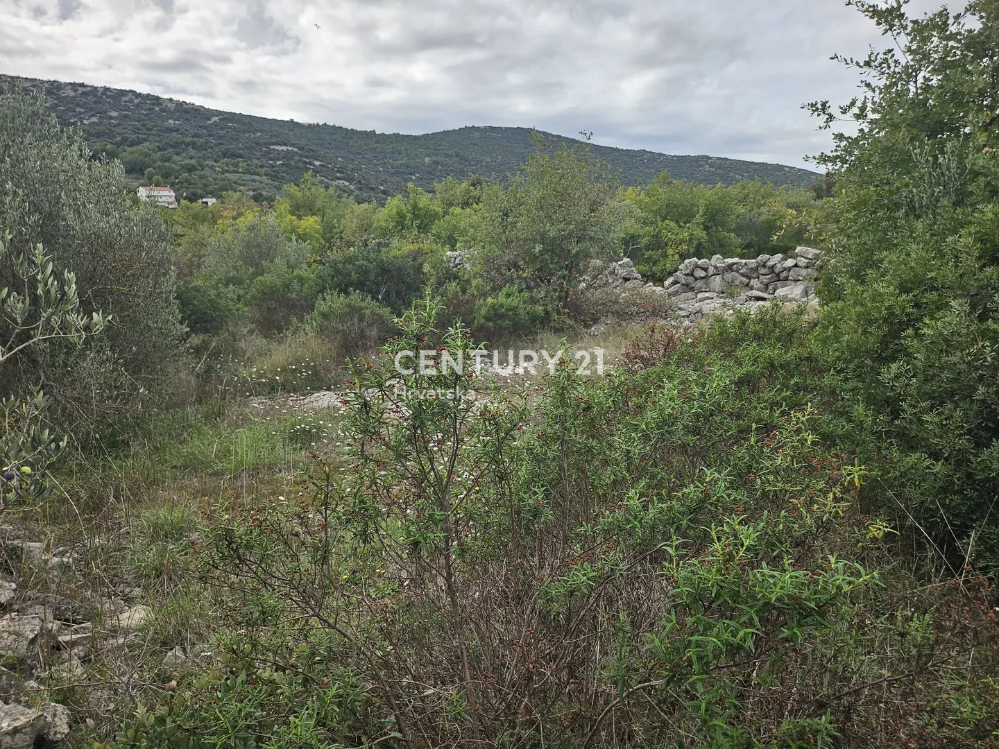 poljoprivredno zemljište 1000 m² – marina, blizina centra - slika 7