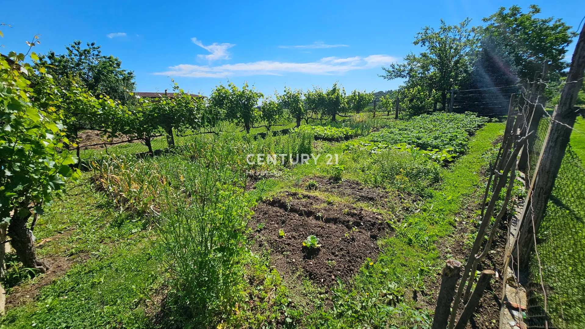 cerje nebojse | obiteljska kuća 95 m² + gospodarske zgrade | okućnica 5.112 m² | voćnjak i vrt | glavna cesta varaždin–ivanec | 55.000 € - slika 20