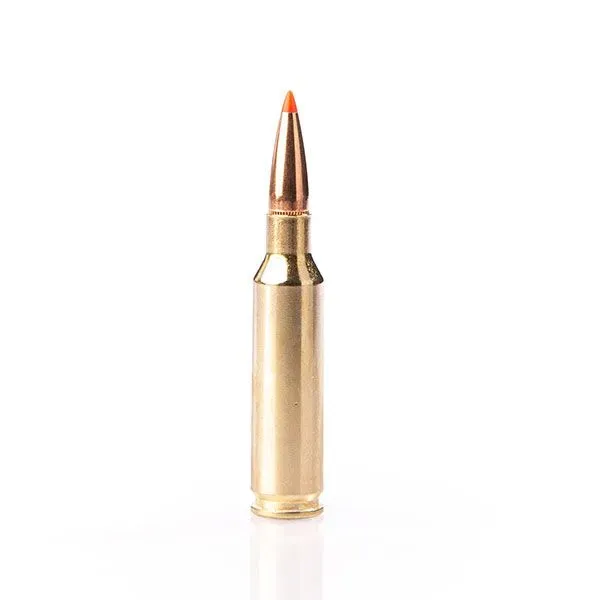 Karabinsko streljivo FIOCCHI 6,5 Creedmoor EPN 8,4g / 129gr - Poreč