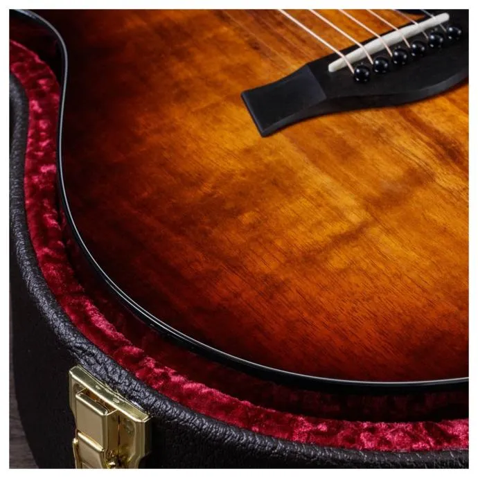 taylor 222ce-k dlx - slika 6