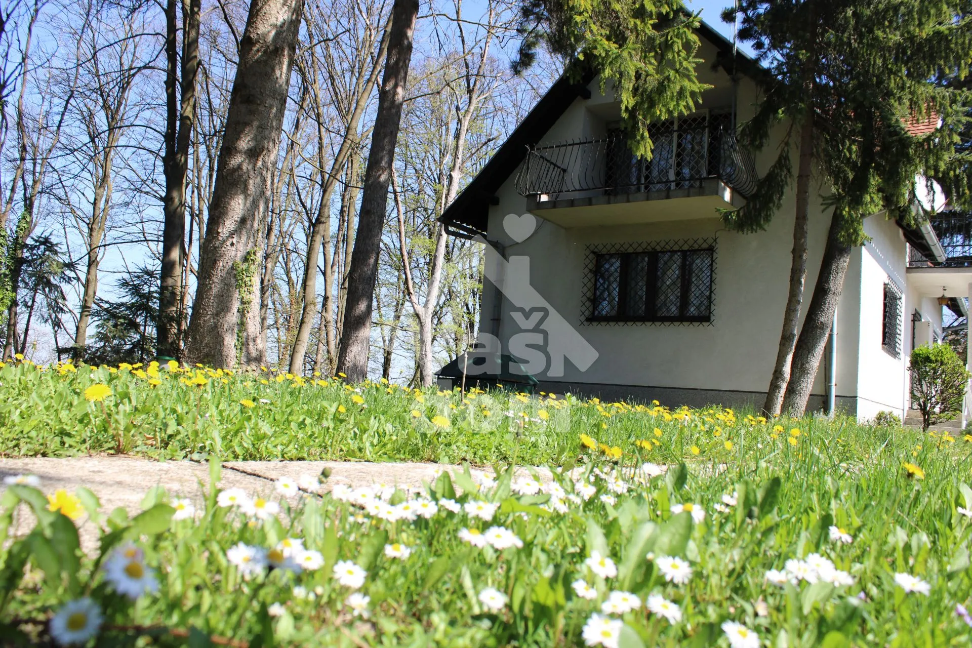 sveta nedelja, kuća s imanjem od 5720 m2 - slika 17