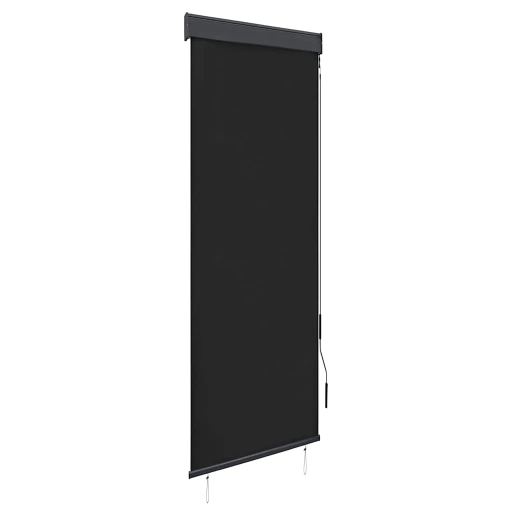 vidaXL Vanjska roleta 60 x 250 cm antracit - Venlo