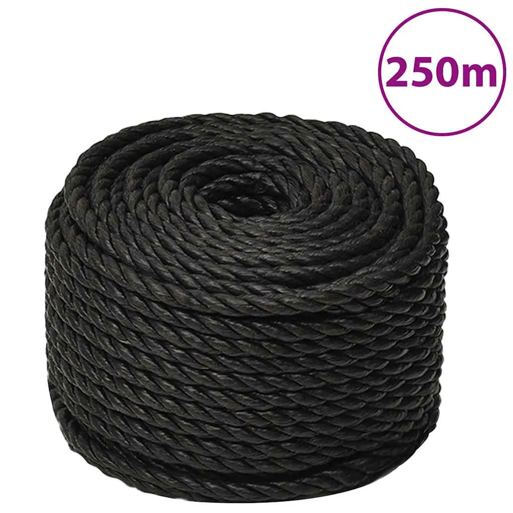 vidaxl radno uže crni 6 mm 250 m od polipropilena - slika 1