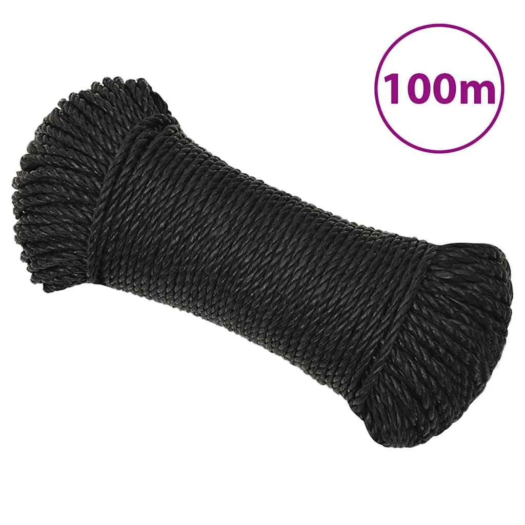 vidaxl radno uže crno 6 mm 100 m od polipropilena - slika 1