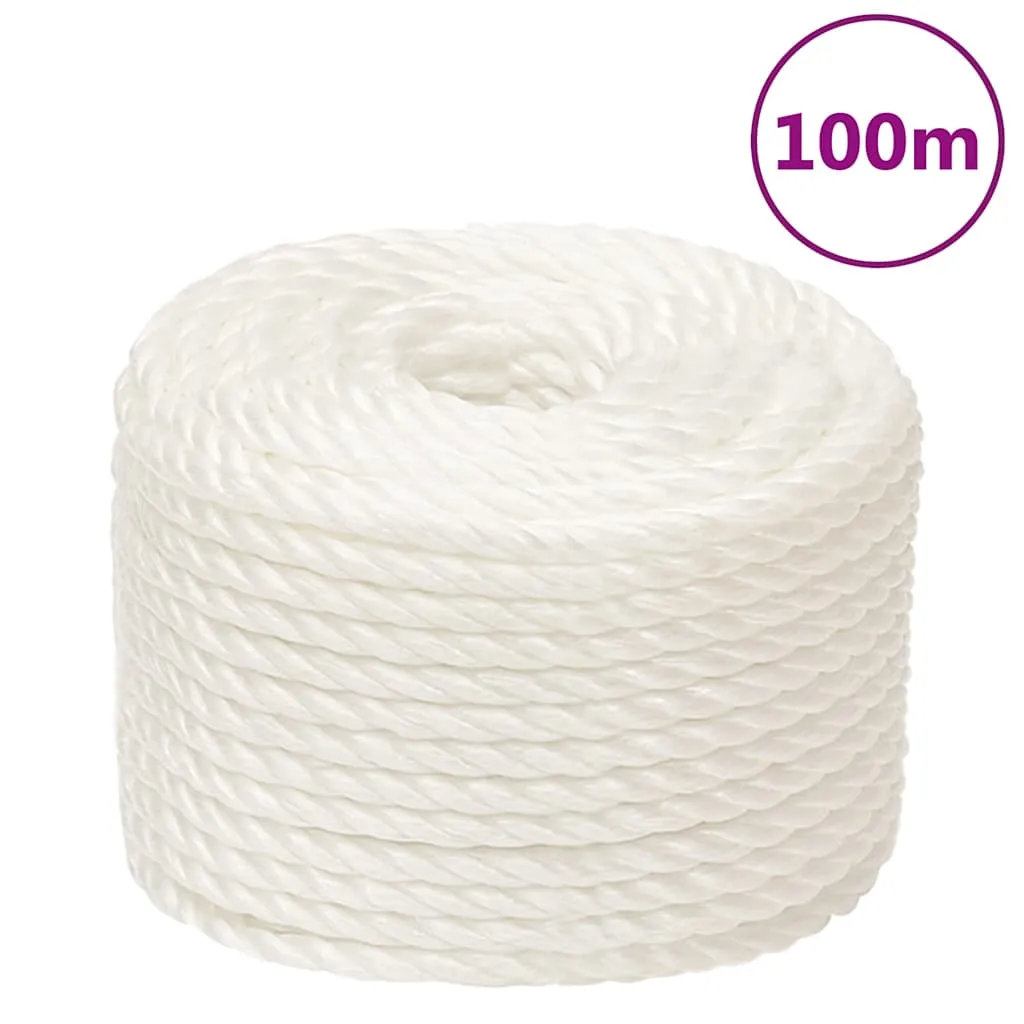 vidaxl radno uže bijelo 14 mm 100 m od polipropilena - slika 1