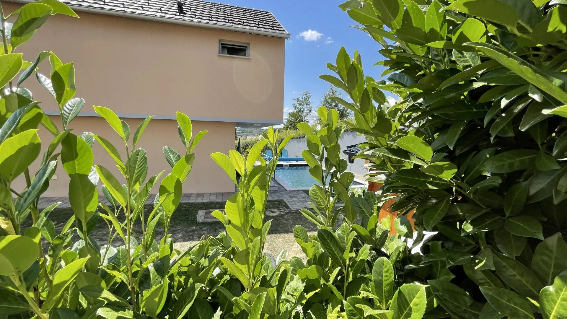 villa dambo - luksuzna vila s bazenom i uređenom okućnicom - slika 4