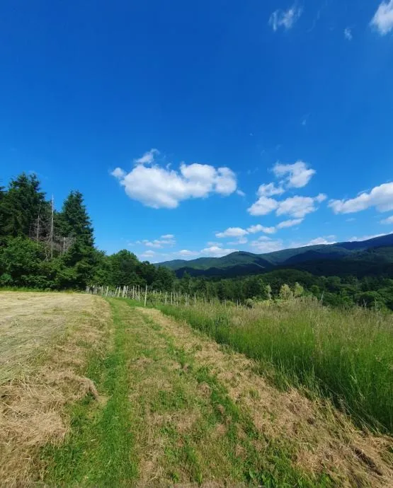 vinograd: kraljev vrh, 600m2, za postavu klijeti, uzgoj ili pčelarstvo - slika 2