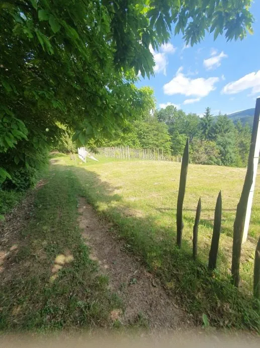 vinograd: kraljev vrh, 600m2, za postavu klijeti, uzgoj ili pčelarstvo - slika 4