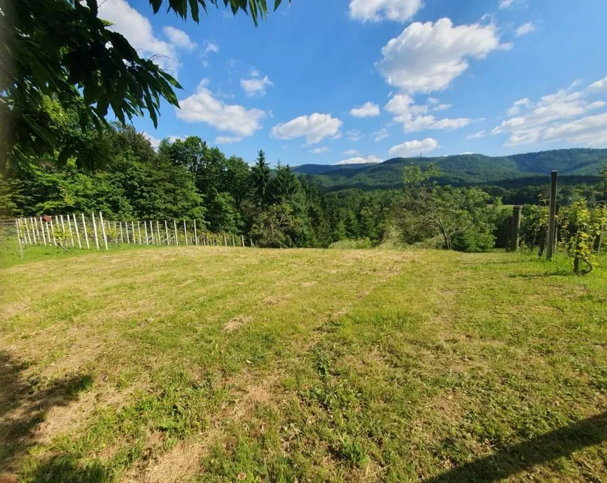 vinograd: kraljev vrh, 600m2, za postavu klijeti, uzgoj ili pčelarstvo - slika 5