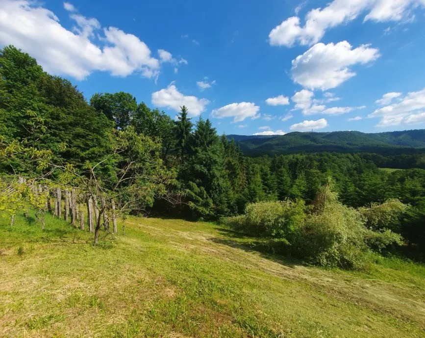 vinograd: kraljev vrh, 600m2, za postavu klijeti, uzgoj ili pčelarstvo - slika 6