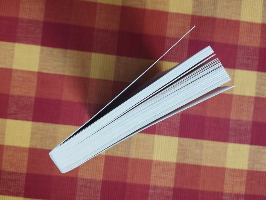 richelle mead - va 2 - plava krv - slika 2